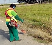 L'acord entre l'Ajuntament de Picanya i el Ministeri de Treball permet la contractació de 23 persones aturades