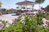 Passeig de l'Amistat. Pèrgola vista oest