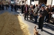 Festa Sant Antoni 2012 P1157793