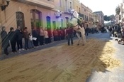 Festa Sant Antoni 2012 P1157797