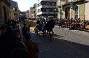 Festa Sant Antoni 2012 P1157820