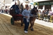 Festa Sant Antoni 2012 P1157824