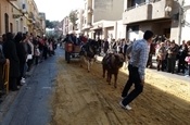 Festa Sant Antoni 2012 P1157834