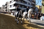 Festa Sant Antoni 2012 P1157840