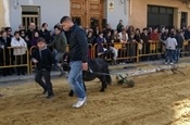 Festa Sant Antoni 2012 P1157845