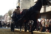 Festa Sant Antoni 2012 P1157850