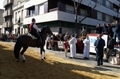 Festa Sant Antoni 2012 P1157869