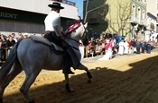 Festa Sant Antoni 2012 P1157876