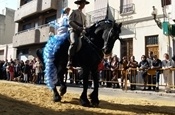 Festa Sant Antoni 2012 P1157877