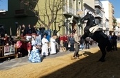 Festa Sant Antoni 2012 P1157878