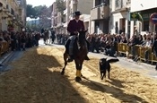 Festa Sant Antoni 2012 P1157893