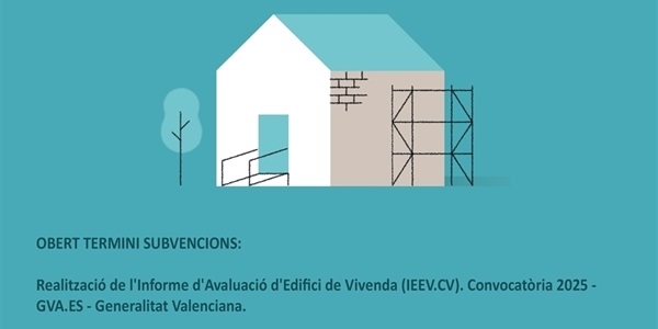 ajudes_accessbilittat_informe_avaluacio_2025