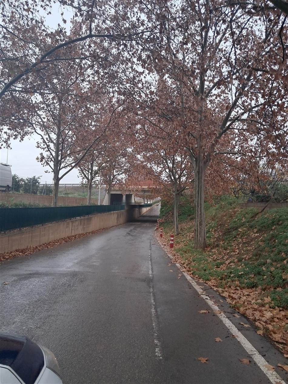 695e8500-efee-4cb0-b7fc-4b91f179a054